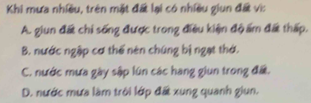 Khi mưa nhiều, trên mặt đất lại có nhiều giun đất vi:
A. giun đất chi sống được trong điều kiện độ ấm đất thấp,
B. nước ngập cơ thế nên chúng bị ngạt thờ.
C. nước mưa gày sập lún các hang giun trong đấ.
D. nước mưa làm trời lớp đất xung quanh giun.