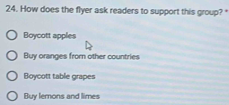 How does the flyer ask readers to support this group? *
Boycott apples
Buy oranges from other countries
Boycott table grapes
Buy lemons and limes