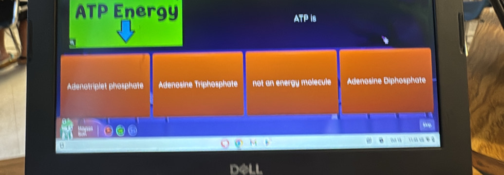 ATP Energy
ATP ia
Adenotriplet phosphate Adenosine Triphosphate not an energy molecule Adenosine Diphosphate
Bd 1