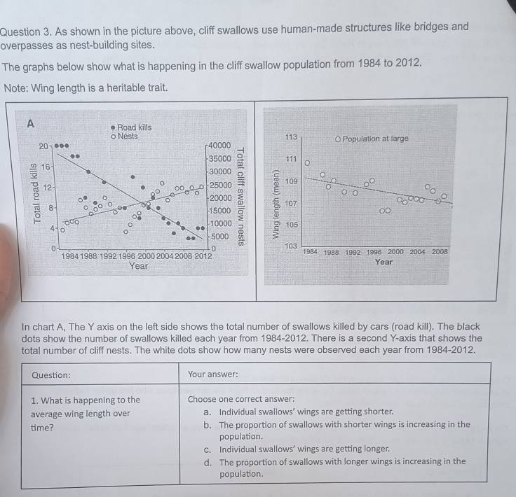 As shown in the picture above, cliff swallows use human-made structures like bridges and
overpasses as nest-building sites.
The graphs below show what is happening in the cliff swallow population from 1984 to 2012.
Note: Wing length is a heritable trait.
A
Road kills
0 Nests
20 . 40000 113 O Population at large
35000 111
16
30000
。
12
25000 109
。
。
-20000 ξ 107 0
8
15000
000 10000 105
4 。
- 5000
0 103
0 1984 1988 1992 1996 2000 2004 2008
1984 1988 1992 1996 2000  2004 2008 2012
Year Year
In chart A, The Y axis on the left side shows the total number of swallows killed by cars (road kill). The black
dots show the number of swallows killed each year from 1984-2012. There is a second Y-axis that shows the
total number of cliff nests. The white dots show how many nests were observed each year from 1984-2012.