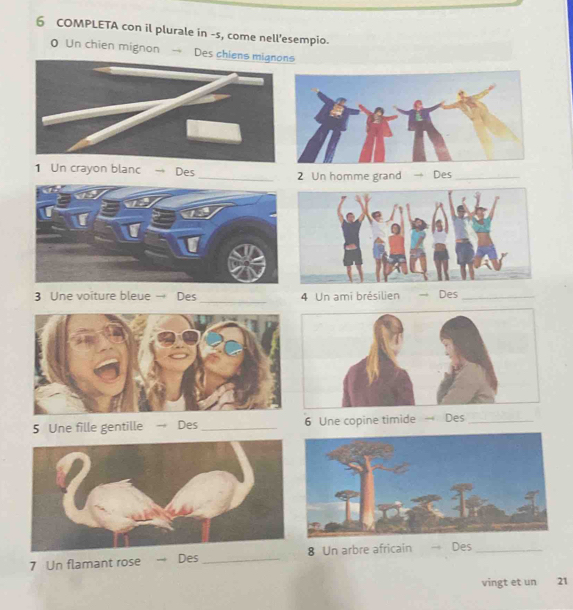 COMPLETA con il plurale in -s, come nell'esempio. 
0 Un chien mignon — Des chiens mignons 
1 Un crayon blanc → Des _2 Un homme grand → Des_ 
_ 
3 Une voiture bleue Des 4 Un ami brésilien → Des_ 
5 Une fille gentille → Des _6 Une copine timide Des_ 
7 Un flamant rose Des _8 Un arbre africain Des_ 
vingt et un 21