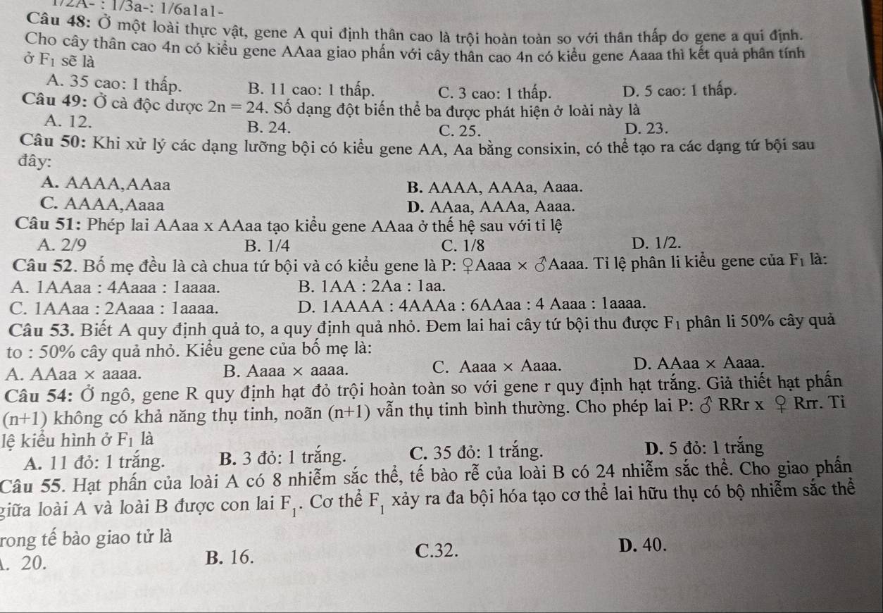 1/2A- : 1/3a-: 1/6a1a1-
Câu 48: Ở một loài thực vật, gene A qui định thân cao là trội hoàn toàn so với thân thấp do gene a qui định.
Cho cây thân cao 4n có kiểu gene AAaa giao phấn với cây thân cao 4n có kiểu gene Aaaa thì kết quả phân tính
Ở F_1 sẽ là
A. 35 cao: 1 thấp. B. 11 cao: 1 thấp. C. 3 cao: 1 thấp. D. 5 cao: 1 thấp.
Câu 49: Ở cà độc dược 2n=24. Số dạng đột biến thể ba được phát hiện ở loài này là
A. 12. B. 24. C. 25. D. 23.
Câu 50: Khi xử lý các dạng lưỡng bội có kiểu gene AA, Aa bằng consixin, có thể tạo ra các dạng tứ bội sau
đây:
A. AAAA,AAaa B. AAAA, AAAa, Aaaa.
C. AAAA,Aaaa D. AAaa, AAAa, Aaaa.
Câu 51: Phép lai AAaa x AAaa tạo kiểu gene AAaa ở thế hệ sau với tỉ lệ
A. 2/9 B. 1/4 C. 1/8 D. 1/2.
Câu 52. Bố mẹ đều là cà chua tứ bội và có kiểu gene là P: ♀Aaaa × ♂Aaaa. Tỉ lệ phân li kiểu gene của F_1 là:
A. 1AAaa : 4Aaaa : 1aaaa. B. 1AA : 2Aa : 1aa.
C. 1AAaa : 2Aaaa : 1aaaa. D. 1AAAA : 4AAAa : 6AAaa : 4 Aaaa : 1aaaa.
Câu 53. Biết A quy định quả to, a quy định quả nhỏ. Đem lai hai cây tứ bội thu được F_1 phân li 50% cây quả
to : 50% cây quả nhỏ. Kiểu gene của bố mẹ là:
A. AAaa * a2 aa. B. Aaaa × aaaa. C. Aaaa × Aaaa. D. AAaa × Aaaa.
Câu 54: Ở ngô, gene R quy định hạt đỏ trội hoàn toàn so với gene r quy định hạt trắng. Giả thiết hạt phần
(n+1) không có khả năng thụ tinh, noãn (n+1) vẫn thụ tinh bình thường. Cho phép lai P: RRr x Rrr. Ti
lệ kiểu hình ở F_1 là
A. 11 đỏ: 1 trăng. B. 3 đỏ: 1 trắng. C. 35 đỏ: 1 trắng. D. 5 đỏ: 1 trắng
Câu 55. Hạt phấn của loài A có 8 nhiễm sắc thể, tế bào rhat e của loài B có 24 nhiễm sắc thể. Cho giao phần
liữa loài A và loài B được con lai F_1. Cơ thể F_1 xảy ra đa bội hóa tạo cơ thể lai hữu thụ có bộ nhiễm sắc thể
rong tế bào giao tử là D. 40.
. 20. B. 16. C.32.