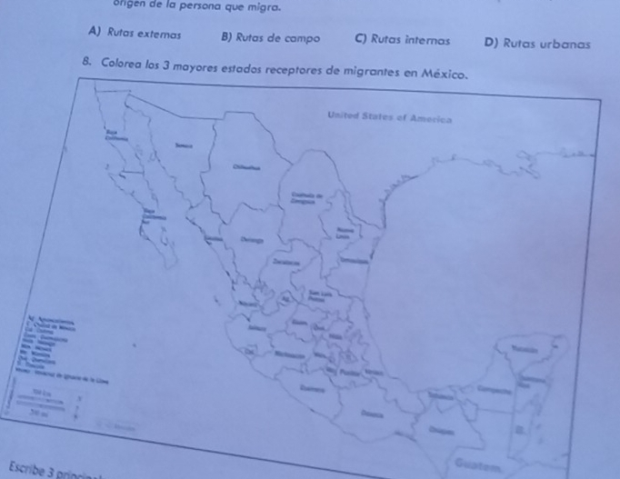 ofgen de la persona que migra.
A) Rutas exteras B) Rutas de campo C) Rutas internas D) Rutas urbanas
8. Colorea los 3 mayores estados receptores de migrantes en México.
United States of America

ne vévécnat de égnacne de la Gine
Guatem
Escribe 3 príncia