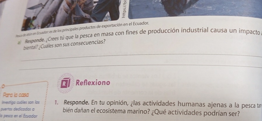 Pesa de atún en Ecuador: es de los principales productos de exportación en el Ecuador. 
a) Responde. ¿Crees tú que la pesca en masa con fines de producción industrial causa un impacto 
biental? ¿Cuáles son sus consecuencias? 
_ 
_ 
R Reflexiono 
Para la casa 
Investiga cuáles son los 1. Responde. En tu opinión, ¿las actividades humanas ajenas a la pesca tam 
puertos dedicados a bién dañan el ecosistema marino? ¿Qué actividades podrían ser? 
la pesca en el Ecuador