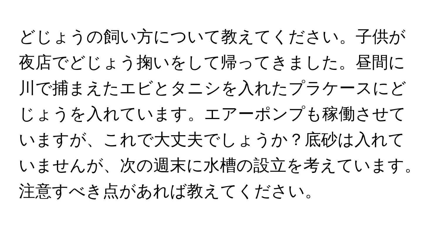 どじょうの飼い方について教えてください。子供が夜店でどじょう掬いをして帰ってきました。昼間に川で捕まえたエビとタニシを入れたプラケースにどじょうを入れています。エアーポンプも稼働させていますが、これで大丈夫でしょうか？底砂は入れていませんが、次の週末に水槽の設立を考えています。注意すべき点があれば教えてください。