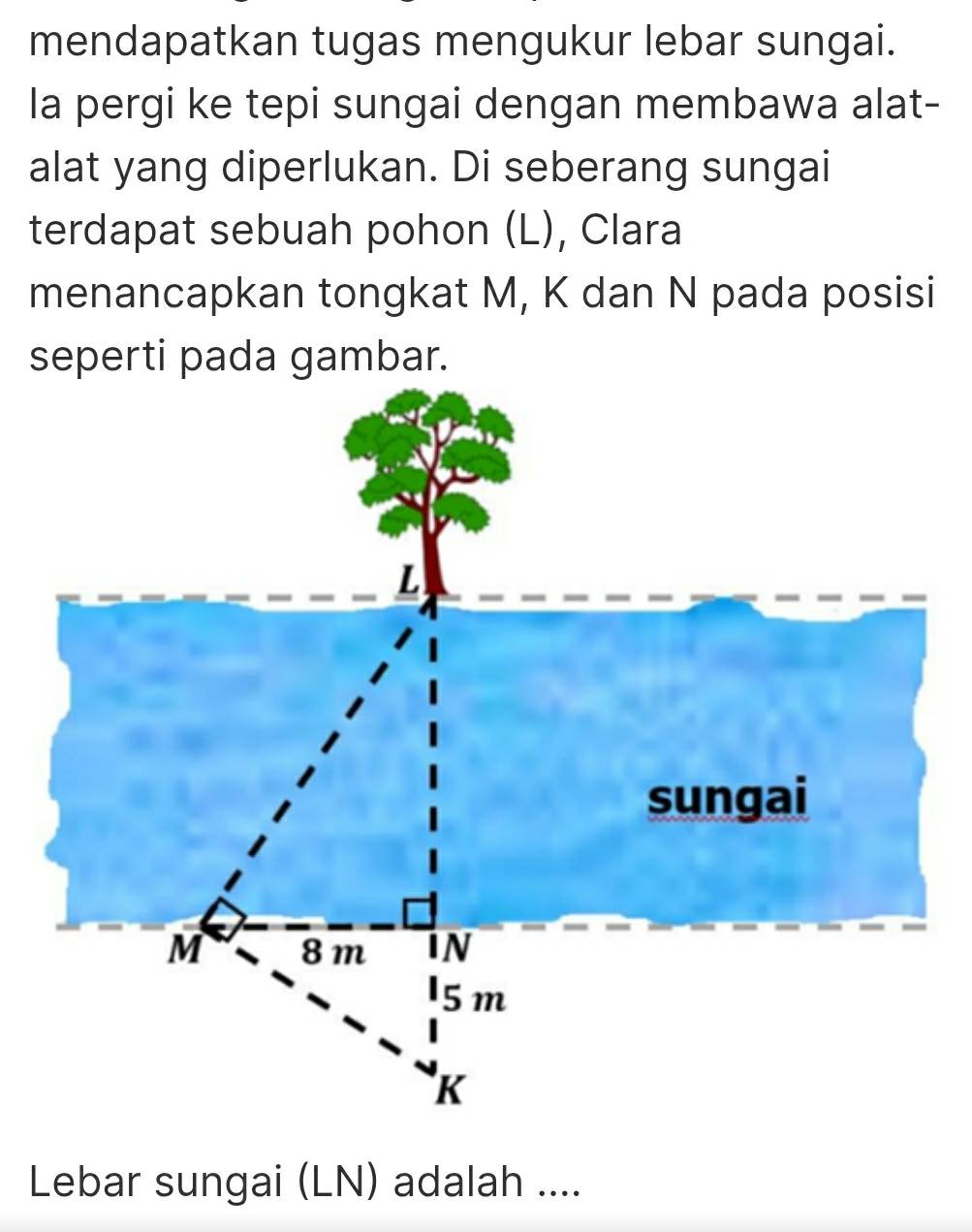 mendapatkan tugas mengukur lebar sungai. 
la pergi ke tepi sungai dengan membawa alat- 
alat yang diperlukan. Di seberang sungai 
terdapat sebuah pohon (L), Clara 
menancapkan tongkat M, K dan N pada posisi 
seperti pada gambar. 
Lebar sungai (LN) adalah ....