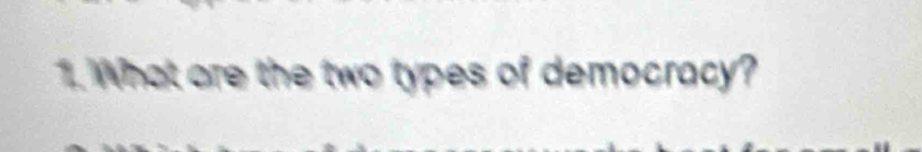 What are the two types of democracy?