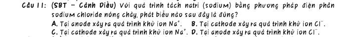 (SBT - Cánh Diều) Với quả trình tách natri (sodium) bằng phương pháp điện phân
sodium chloride nóng chảy, phát biểu nào sau đây là đúng?
A. Tại anode xảy ra quả trình khủ ion Na^+. B. Tại cathode xảy ra quả trình khử ion Cl¯.
C. Tại cathode xảy ra quả trình khử ion Na^+. D. Tại anode xảy ra quả trình khủ ion CI.