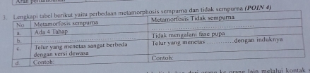 3n tidak sempurna (POIN 4)