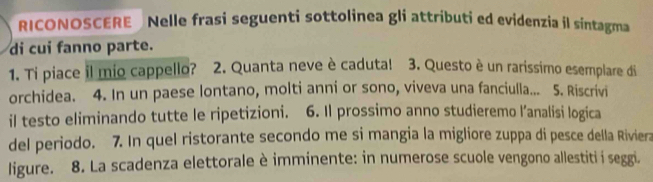 RICONOSCERE Nelle frasi seguenti sottolinea gli attributi ed evidenzia il sintagma 
di cui fanno parte. 
1. Ti piace il mio cappello? ? 2. Quanta neve è caduta! 3. Questo è un rarissimo esemplare di 
orchidea. 4. In un paese lontano, molti anni or sono, viveva una fanciulla... 5. Riscrivi 
il testo eliminando tutte le ripetizioni. 6. Il prossimo anno studieremo l’analisi logica 
del periodo. 7. In quel ristorante secondo me si mangia la migliore zuppa di pesce della Riviera 
ligure. 8. La scadenza elettorale è imminente: in numerose scuole vengono allestiti i seggi.