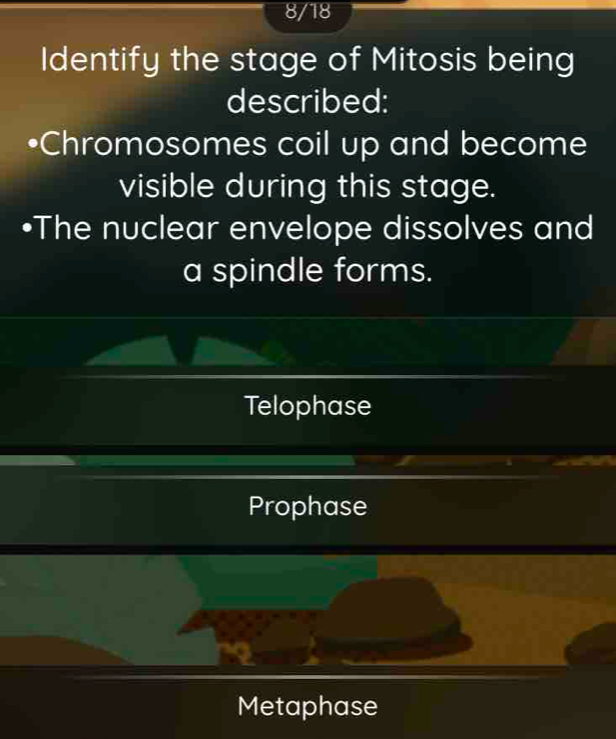 8/18
Identify the stage of Mitosis being
described:
•Chromosomes coil up and become
visible during this stage.
•The nuclear envelope dissolves and
a spindle forms.
Telophase
Prophase
Metaphase