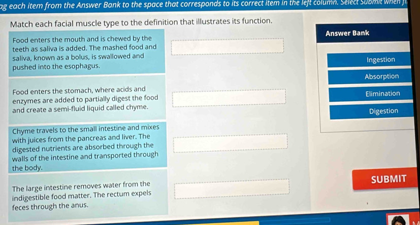 ag each item from the Answer Bank to the space that corresponds to its correct item in the left column. Select Submit when fi 
Match each facial muscle type to the definition that illustrates its function. 
Food enters the mouth and is chewed by the Answer Bank 
teeth as saliva is added. The mashed food and 
saliva, known as a bolus, is swallowed and 
pushed into the esophagus. Ingestion 
Food enters the stomach, where acids and Absorption 
enzymes are added to partially digest the food Elimination 
and create a semi-fluid liquid called chyme. 
Digestion 
Chyme travels to the small intestine and mixes 
with juices from the pancreas and liver. The 
digested nutrients are absorbed through the 
walls of the intestine and transported through 
the body. 
The large intestine removes water from the 
indigestible food matter. The rectum expels SUBMIT 
feces through the anus.