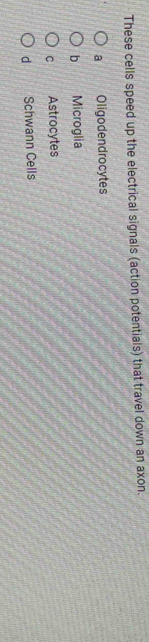 These cells speed up the electrical signals (action potentials) that travel down an axon.
a Oligodendrocytes
b Microglia
C Astrocytes
d Schwann Cells