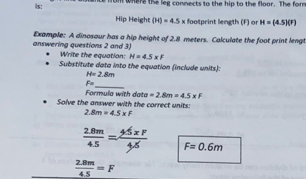 is: 
ice from whar the leg connects to the hip to the floor. The forr 
Hip Height (H)=4.5x footprint length (F) or H=(4.5)(F)
Example: A dinosaur has a hip height of 2.8 meters. Calculate the foot print lengt 
answering questions 2 and 3) 
Write the equation: H=4.5* F
Substitute data into the equation (include units):
H=2.8m
F= _ 
Formula with data =2.8m=4.5* F
Solve the answer with the correct units:
2.8m=4.5* F
 (2.8m)/4.5 = (4.5xF)/4.5  F=0.6m
 (2.8m)/4.5 =F