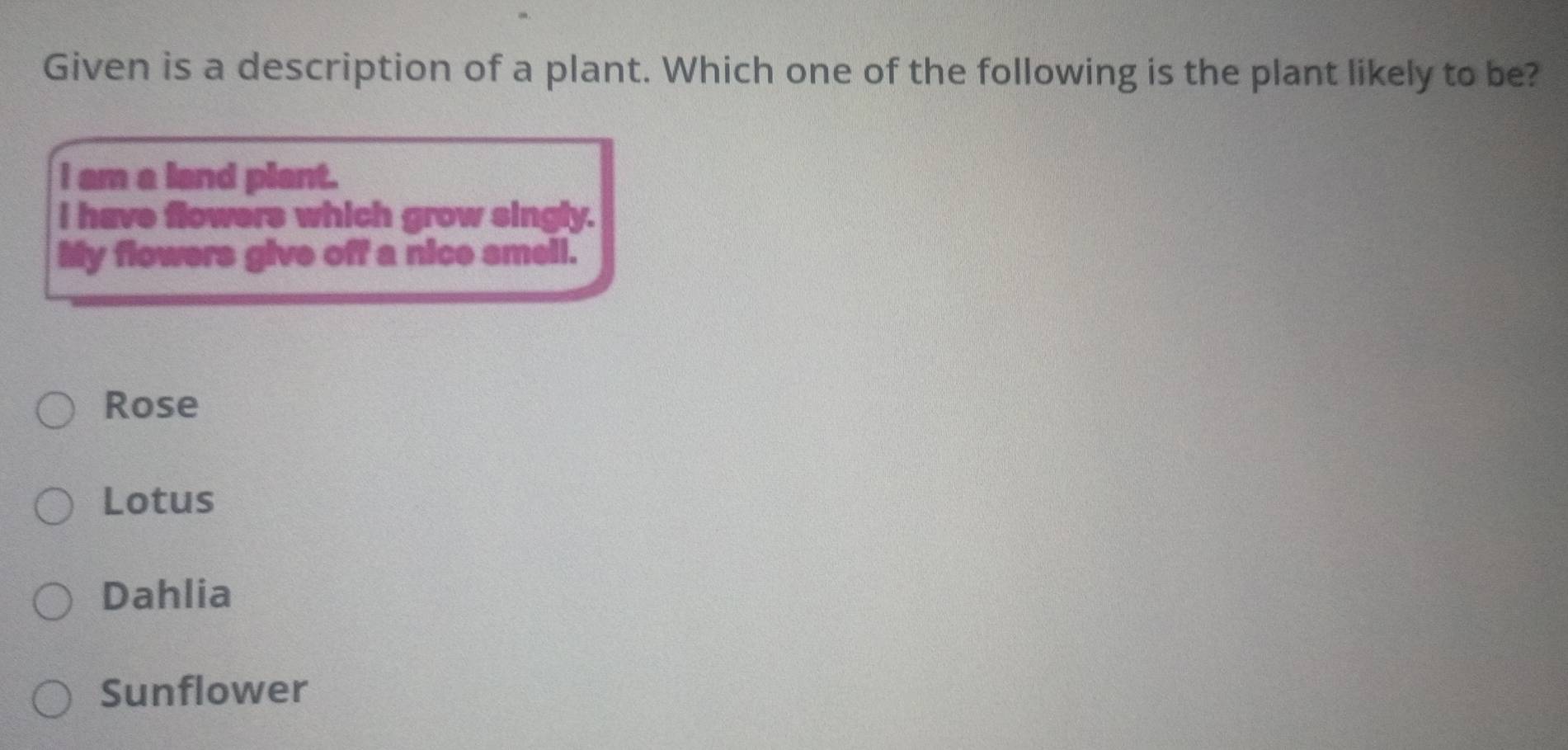 Given is a description of a plant. Which one of the following is the plant likely to be?
I am a land plant.
I have flowers which grow singly.
My flowers give off a nice smell.
Rose
Lotus
Dahlia
Sunflower