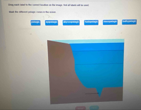 Drag each label to the correct location on the image. Not all labeis will be used
Mark the different pelagic zones in the ocean
pelagic epipelagi abyssopelagic hadopelagi mesopelagk bathypelagic