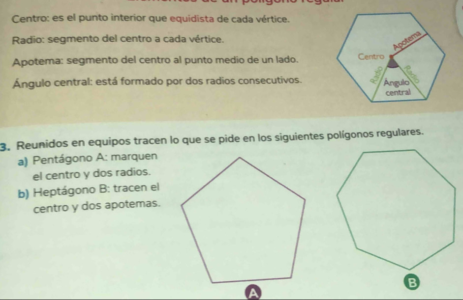 Centro: es el punto interior que equidista de cada vértice. 
Radio: segmento del centro a cada vértice. 
Apotema: segmento del centro al punto medio de un lado. 
Ángulo central: está formado por dos radios consecutivos. 
3. Reunidos en equipos tracen lo que se pide en los siguientes polígonos regulares. 
a) Pentágono A: marquen 
el centro y dos radios. 
b) Heptágono B: tracen el 
centro y dos apotemas.