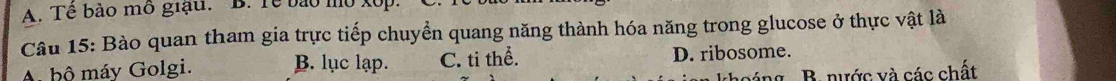 Tê bào mô giậu. B. Tề bào mô xôp.
Câu 15: Bào quan tham gia trực tiếp chuyển quang năng thành hóa năng trong glucose ở thực vật là
Abộ máv Golgi. B. lục lạp. C. ti thể. D. ribosome.
B. nước và các chất
