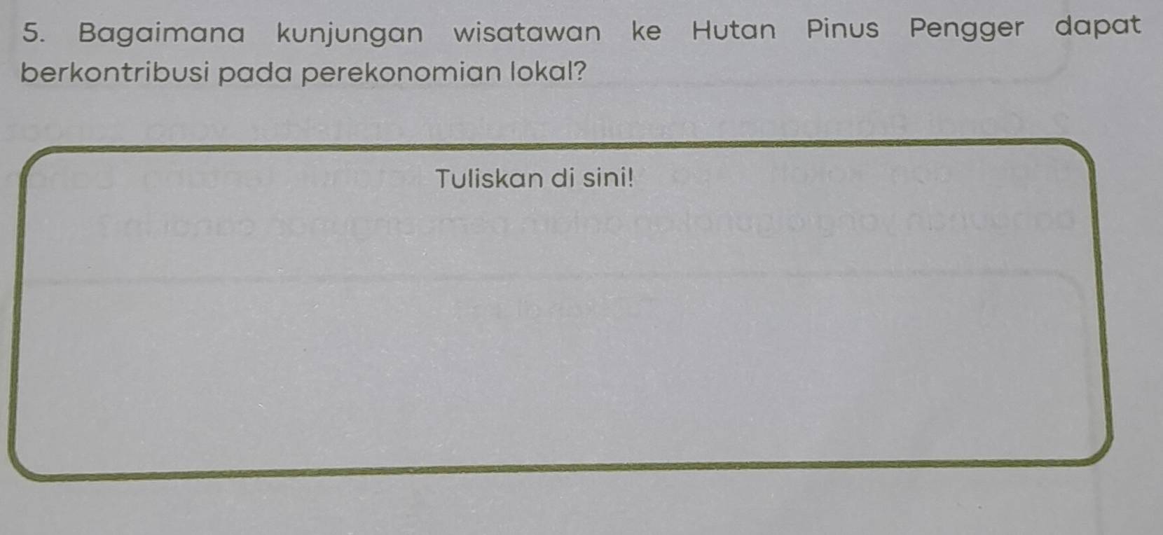 Bagaimana kunjungan wisatawan ke Hutan Pinus Pengger dapat 
berkontribusi pada perekonomian lokal? 
Tuliskan di sini!