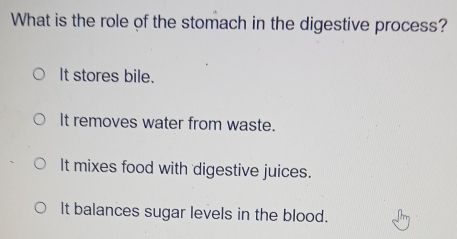 What is the role of the stomach in the digestive process?
It stores bile.
It removes water from waste.
It mixes food with digestive juices.
It balances sugar levels in the blood.