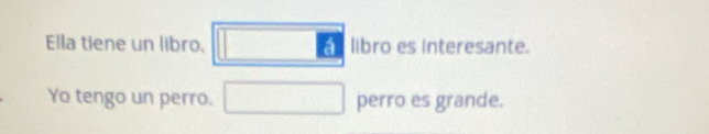 Ella tiene un libro. libro es interesante. 
Yo tengo un perro. perro es grande.