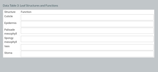 Data Table 3: Leaf Structures and Functions 
Structure Function 
Cuticle 
Epidermis 
Palisade 
mesophyll 
Spongy 
mesophyll 
Vein 
Stoma