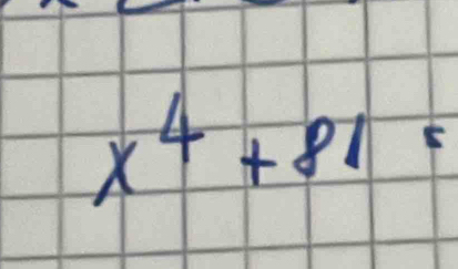 x^4+81=