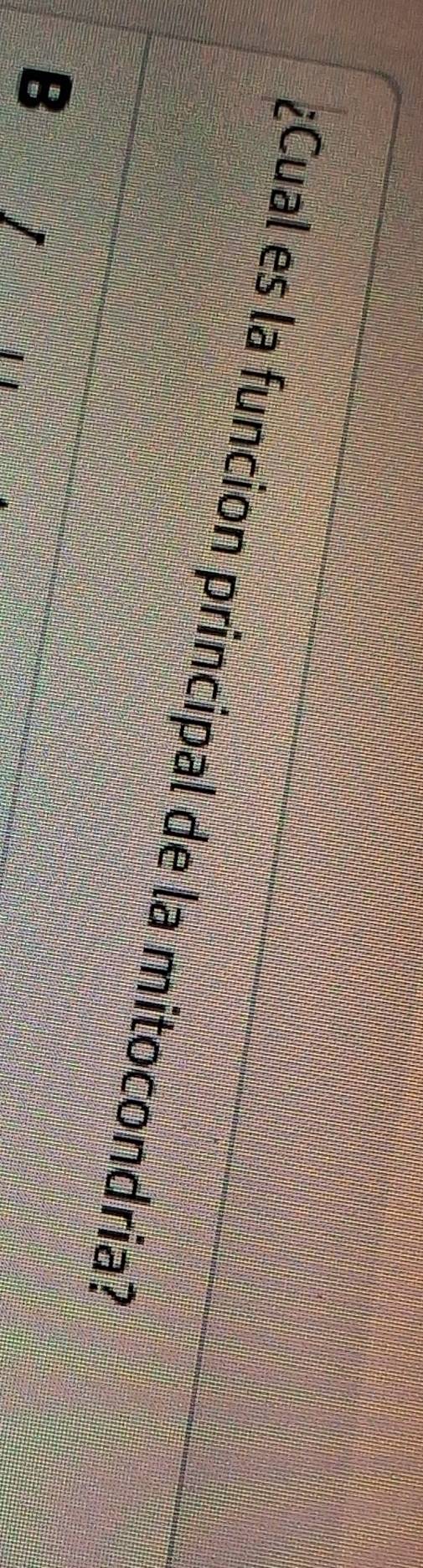 ¿Cual es la funcion principal de la mitocondria? 
B 1