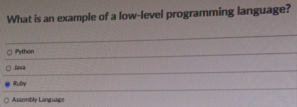 What is an example of a low-level programming language?
Python
Java
Ruby
Assembly Language