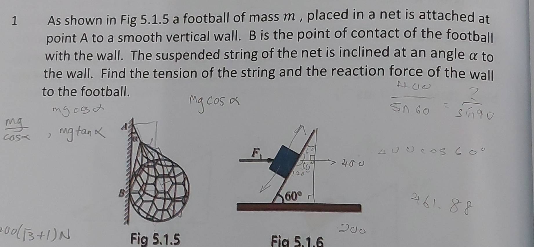 As shown in Fig 5.1.5 a football of mass m , placed in a net is attached at 
point A to a smooth vertical wall. B is the point of contact of the football 
with the wall. The suspended string of the net is inclined at an angle α to 
the wall. Find the tension of the string and the reaction force of the wall 
to the football.
F_1
B
60°
Fig 5.1.5 Fia 5.1.6