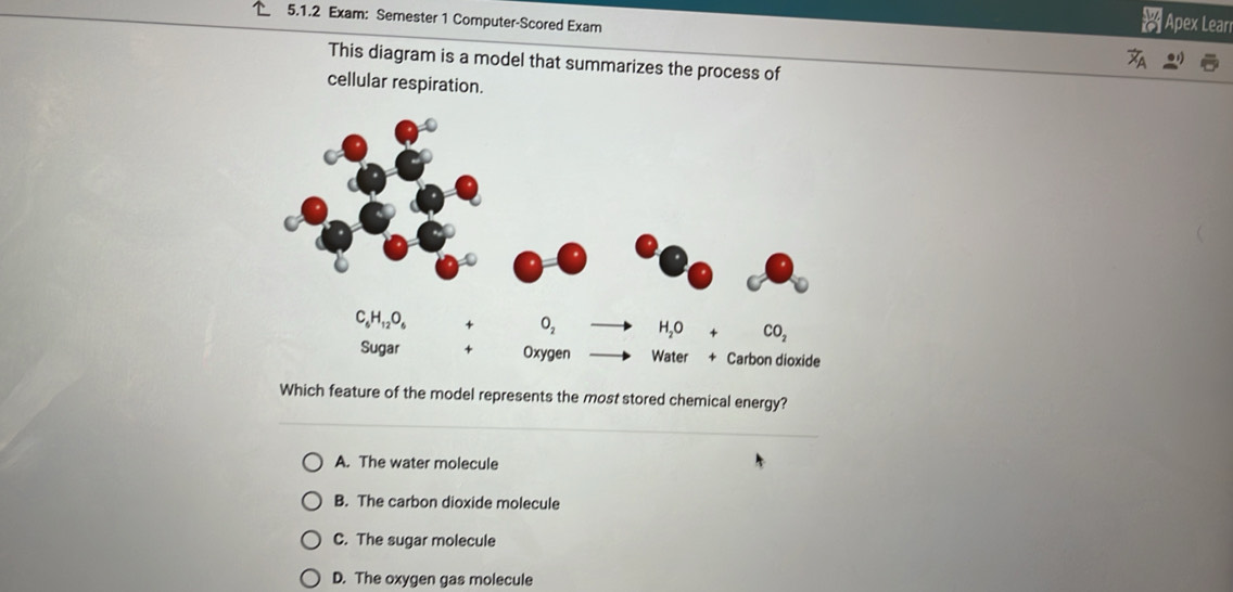 Exam: Semester 1 Computer-Scored Exam
Apex Leari
This diagram is a model that summarizes the process of
cellular respiration.
Which feature of the model represents the most stored chemical energy?
A. The water molecule
B. The carbon dioxide molecule
C. The sugar molecule
D. The oxygen gas molecule