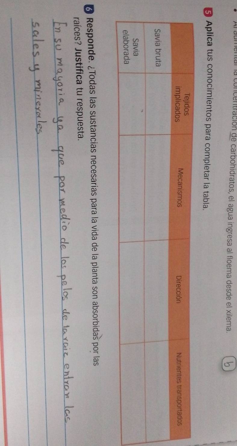 la concentración de carbohidratos, el agua ingresa al floema desde el xilema. 
5 Aplica tus conocimientos para completar la tabla. 
♂ Responde. ¿Todas las sustancias necesarias para la vida de la planta son absorbidas por las 
raíces? Justifica tu respuesta. 
_ 
_ 
_