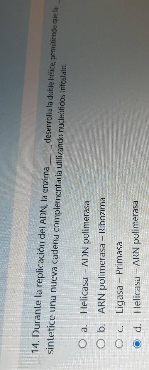 Durante la replicación del ADN, la enzima desenrolla la doble hélice, permitiendo que la
sintetice una nueva cadena complementaria utilizando nucleótidos trifosfato.
_
a. Helicasa - ADN polimerasa
b. ARN polimerasa- Ribozima
c. Ligasa - Primasa
d. Helicasa - ARN polimerasa
