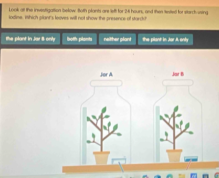 Look at the investigation below. Both plants are left for 24 hours, and then tested for starch using
iodine. Which plant's leaves will not show the presence of starch?
the plant in Jar B only both plants neither plant the plant in Jar A only
Jar A Jar B