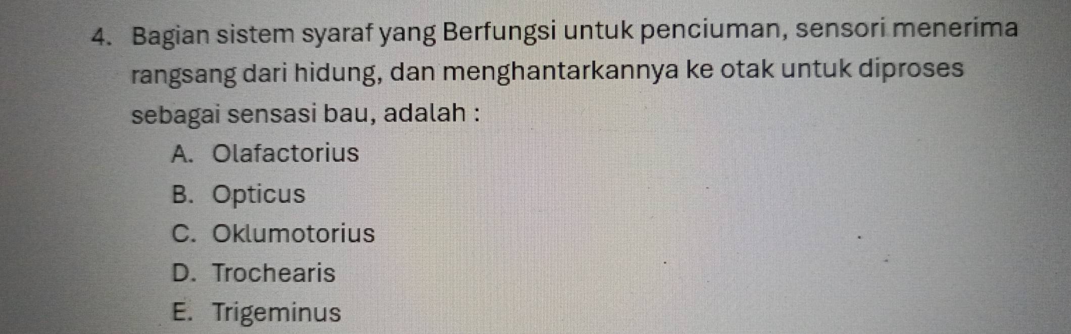 Bagian sistem syaraf yang Berfungsi untuk penciuman, sensori menerima
rangsang dari hidung, dan menghantarkannya ke otak untuk diproses
sebagai sensasi bau, adalah :
A. Olafactorius
B. Opticus
C. Oklumotorius
D. Trochearis
E. Trigeminus