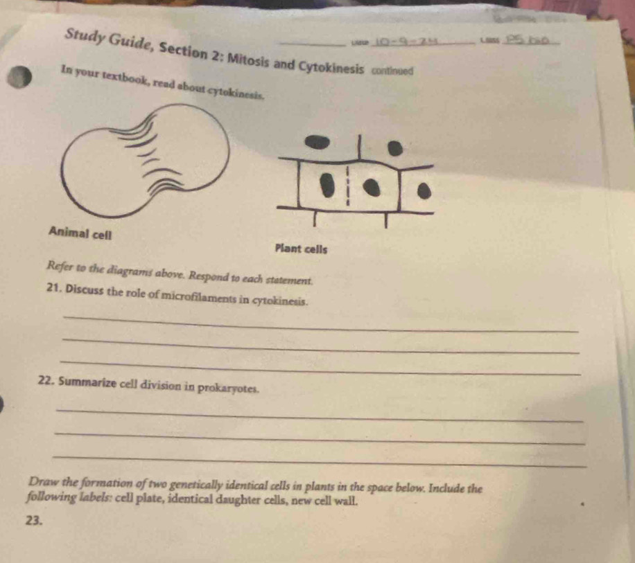 100S5_ 
Study Guide, Section 2: Mitosis and Cytokinesis continued 
In your textbook, read about cytokinesis. 
Animal cell 
Plant cells 
Refer to the diagrams above. Respond to each statement. 
21. Discuss the role of microfilaments in cytokinesis. 
_ 
_ 
_ 
22. Summarize cell division in prokaryotes. 
_ 
_ 
_ 
Draw the formation of two genetically identical cells in plants in the space below. Include the 
following labels: cell plate, identical daughter cells, new cell wall. 
23.