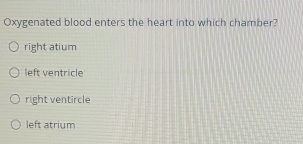 Oxygenated blood enters the heart into which chamber?
right atium
left ventricle
right ventircle
left atrium