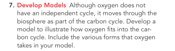 Develop Models Although oxygen does not 
have an independent cycle, it moves through the 
biosphere as part of the carbon cycle. Develop a 
model to illustrate how oxygen fits into the car- 
bon cycle. Include the various forms that oxygen 
takes in your model.