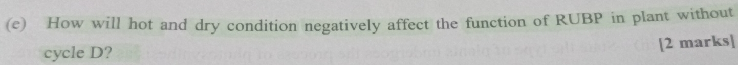 How will hot and dry condition negatively affect the function of RUBP in plant without 
[2 marks] 
cycle D?