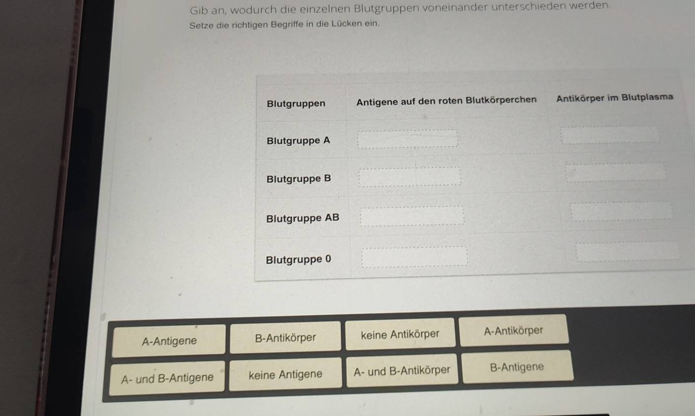 Gib an, wodurch die einzelnen Blutgruppen voneinander unterschieden werden.
Setze die richtigen Begriffe in die Lücken ein.
A-Antigene B-Antikörper keine Antikörper A-Antikörper
A- und B-Antigene keine Antigene A- und B-Antikörper B-Antigene