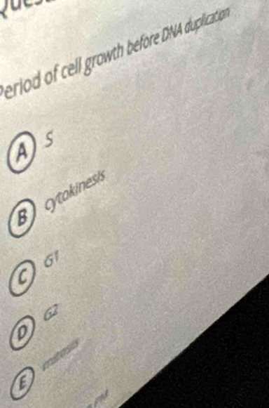 eriod of cell growth before DNA duplication
As
Bcytokiness
O o
62
D
E