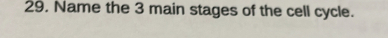 Name the 3 main stages of the cell cycle.