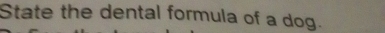 State the dental formula of a dog.