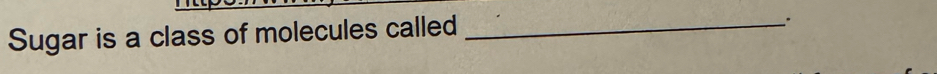 Sugar is a class of molecules called_