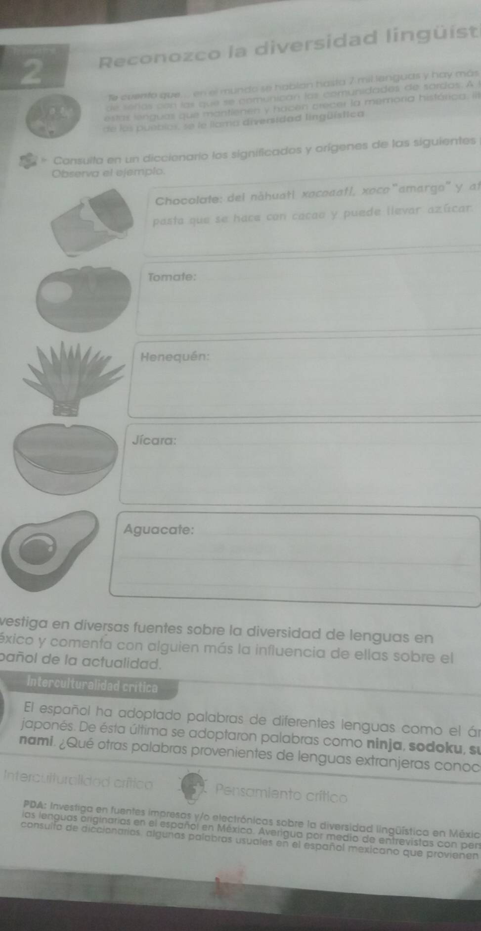 Reconozco la diversidad lingüist 
le evento que.... en el mundo se hablan hasta 7 mil lenguas y hay más 
de séñas con las que se comunican las comunidades de sardas. A l 
yot estas lenguas que mantlenen y hacen precer la memoria histárica: iil 
de las pueblos, se le llama diversidad lingüística 
* Consuita en un diccienario los significados y orígenes de las siguientes 
Observa el ejemplo. 
Chocolate: del náhuati xocoaatí, xoco“amargo" y at 
pasta que se hace con cacao y puede llevar azúcar. 
Tomate: 
Henequén: 
Jícara: 
Aguacate: 
vestiga en diversas fuentes sobre la diversidad de lenguas en 
éxico y comenta con alguien más la influencia de ellas sobre el 
pañol de la actualidad. 
Interculturalidad crítica 
El español ha adoptado palabras de diferentes lenguas como el ár 
japonés. De ésta última se adoptaron palabras como ninja, sodoku, su 
nami. ¿Qué otras palabras provenientes de lenguas extranjeras conoc 
Interculturalidod crítico Pensamiento crítico 
PDA: Investiga en fuentes impresas y/o electrónicas sobre la diversidad lingüística en Méxic 
las lenguas originarias en el español en México. Averigua por medio de entrevistas con pers 
consulfo de diccionarios, algunas palabras usuales en el español mexicano que provienen