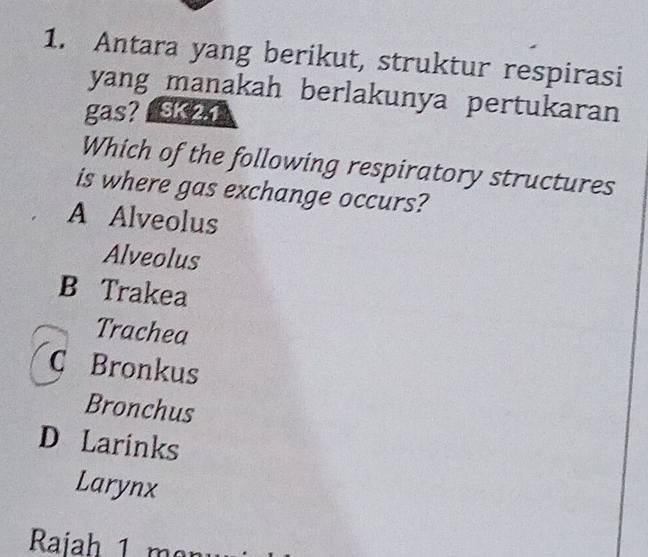 Antara yang berikut, struktur respirasi
yang manakah berlakunya pertukaran
gas? 
Which of the following respiratory structures
is where gas exchange occurs?
A Alveolus
Alveolus
B Trakea
Trachea
C Bronkus
Bronchus
D Larinks
Larynx
Raiah 1 m