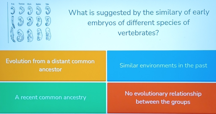 Tomrise Chcl Rathit Nha
What is suggested by the similary of early
embryos of different species of
vertebrates?
Evolution from a distant common Similar environments in the past
ancestor
No evolutionary relationship
A recent common ancestry between the groups