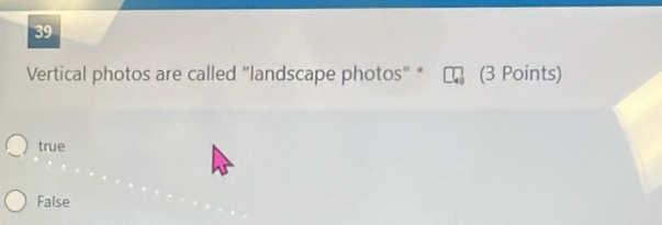 Vertical photos are called "landscape photos" * (3 Points)
true
False