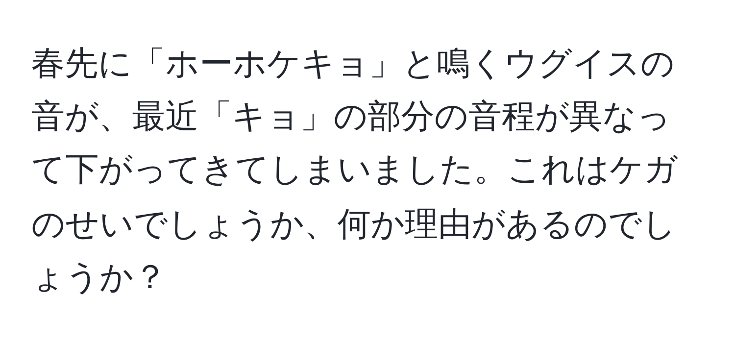 春先に「ホーホケキョ」と鳴くウグイスの音が、最近「キョ」の部分の音程が異なって下がってきてしまいました。これはケガのせいでしょうか、何か理由があるのでしょうか？