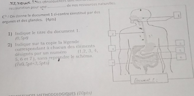 conséquences son t e 
restauration pour une _de nos ressources naturelles. 
C° On donne le document 1 ci-contre constitué par des 
organes et des glandes. (4pts) 
1) Indique le titre du document 1.
(0,5pt)
2) Indique sur ta copie la légende 
correspondant à chacun des éléments 
désignés par un numéro (1,2,3,4,
5, 6 et 7 ), sans reprendre le schéma.
(7x0,5pt=3,5pts)
ences méthodologiques (10pts)